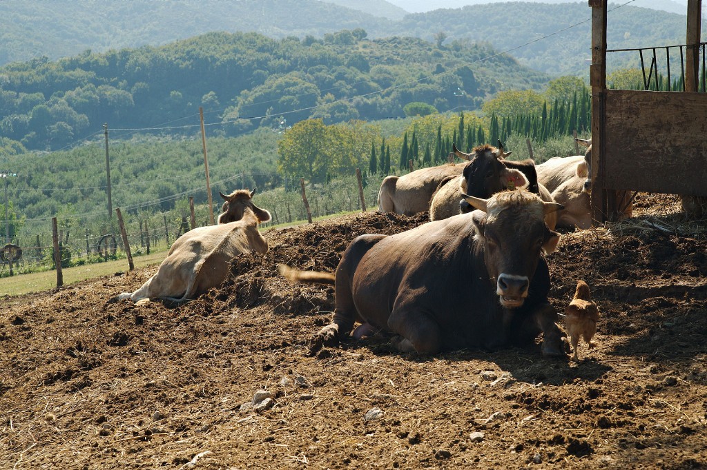 2014.09.15-06373.(W)160.jpg - SONY DSC