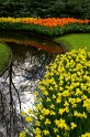 Keukenhof